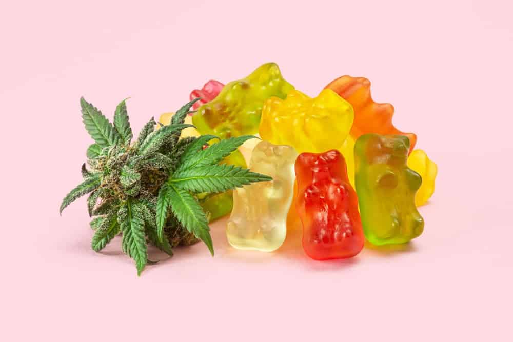 Gummy Bear THC Marijuana Edibles