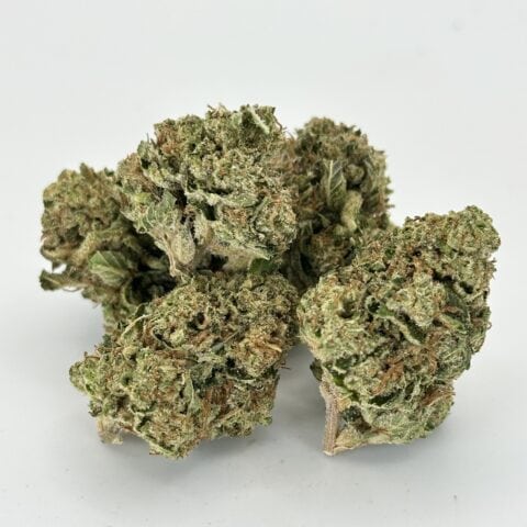 Jet Fuel Gelato | Hybrid