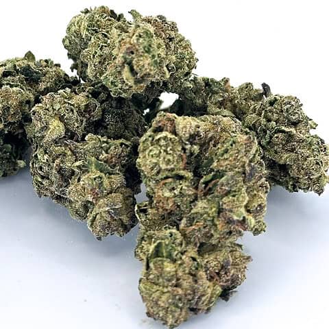 Presidential Runtz | Indica