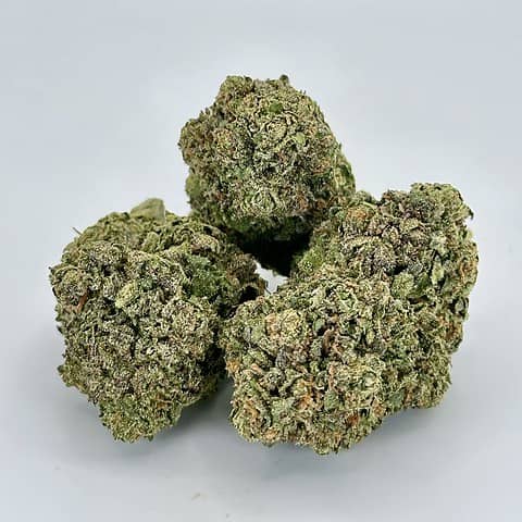 Gumbo | Hybrid