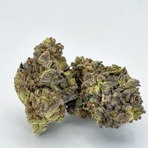 Pink Panties | Hybrid