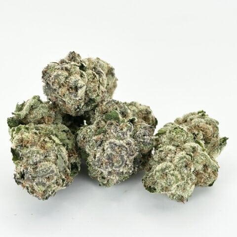 Lemon Cherry Gushers | Hybrid