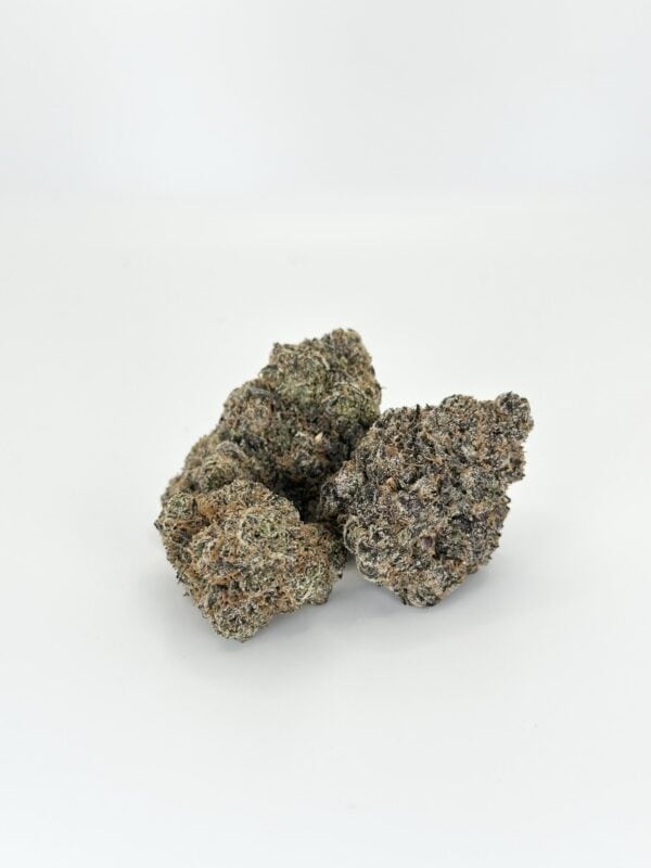 Frosted Gumbo | Hybrid - Image 3