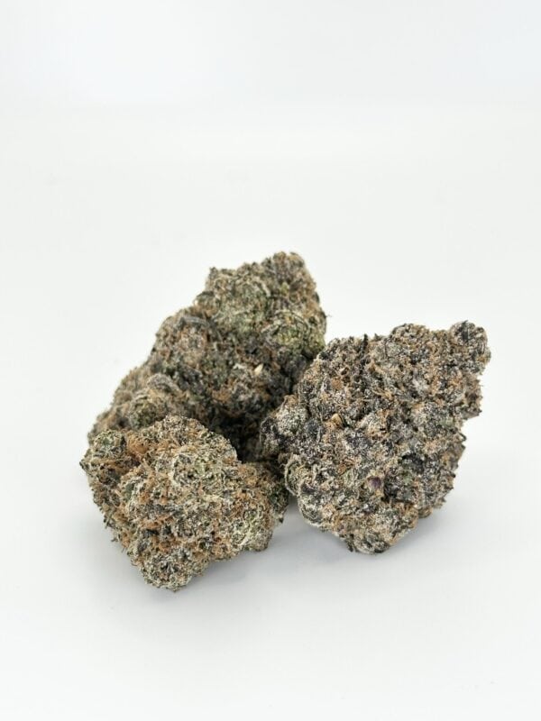 Frosted Gumbo | Hybrid - Image 2