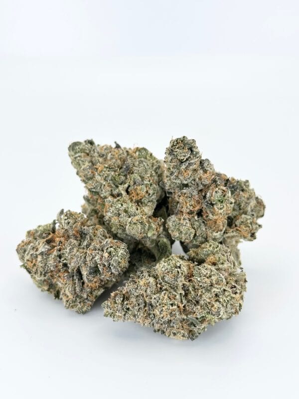 Headbanger | Hybrid