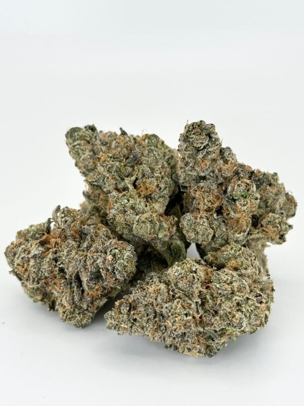 Headbanger | Hybrid - Image 6