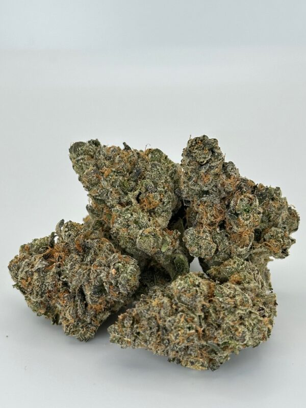 Headbanger | Hybrid - Image 7