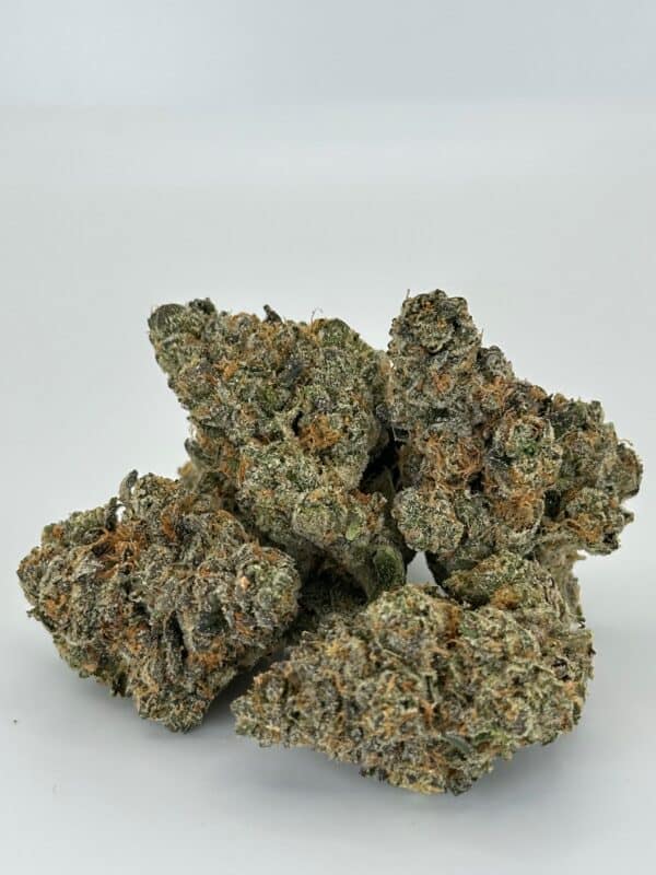 Headbanger | Hybrid - Image 5