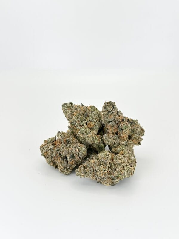 Headbanger | Hybrid - Image 8