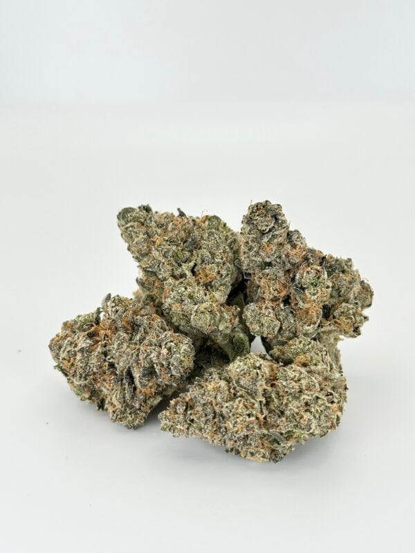 Headbanger | Hybrid - Image 10