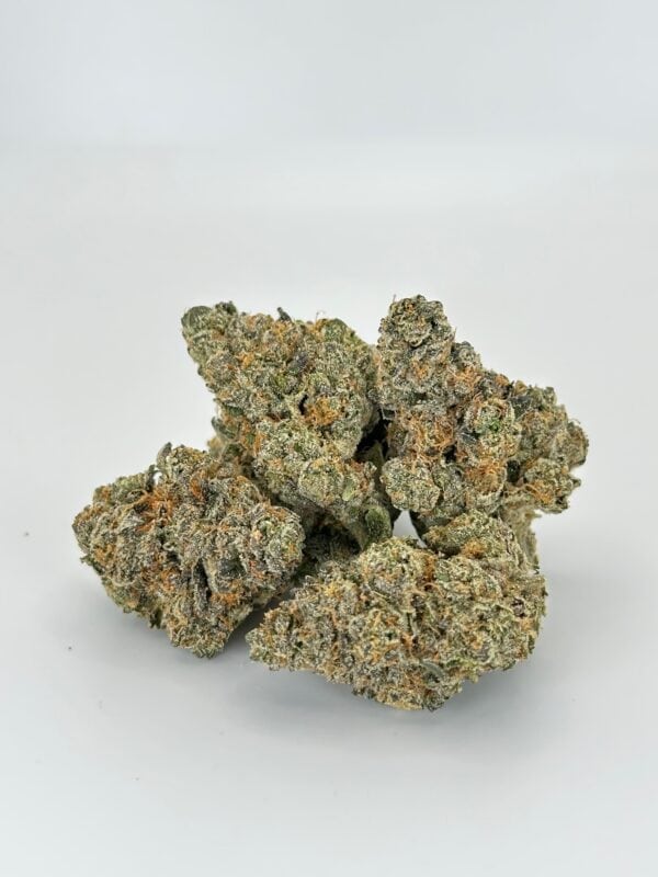 Headbanger | Hybrid - Image 11