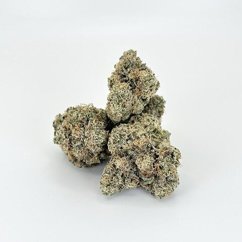 Ice Pop - Hybrid