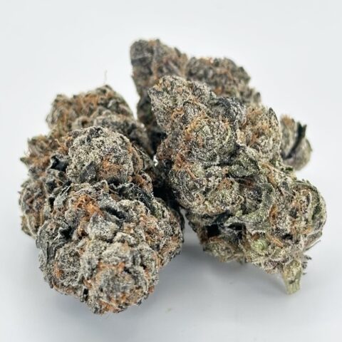 Sherbet Cake | Indica