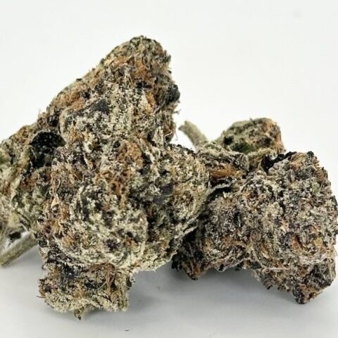 Lemon Gelato | Hybrid