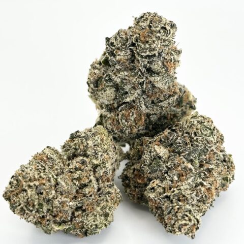 Gushers | Hybrid
