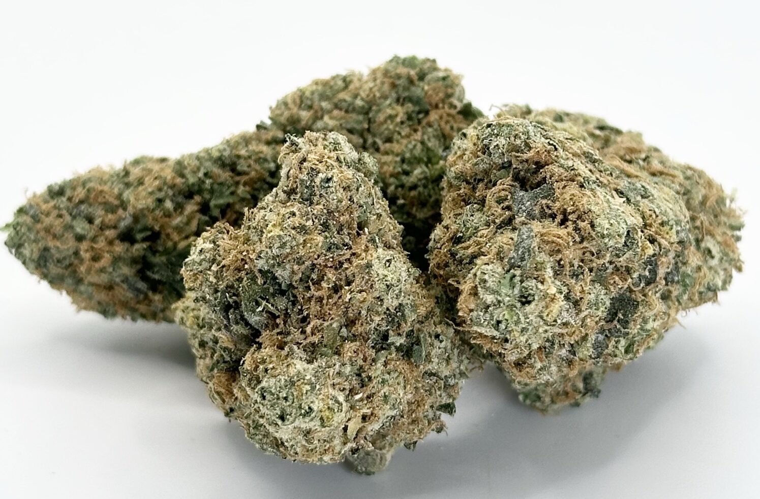 Cheddar Melt | Hybrid 1 Cheddar Melt | Hybrid