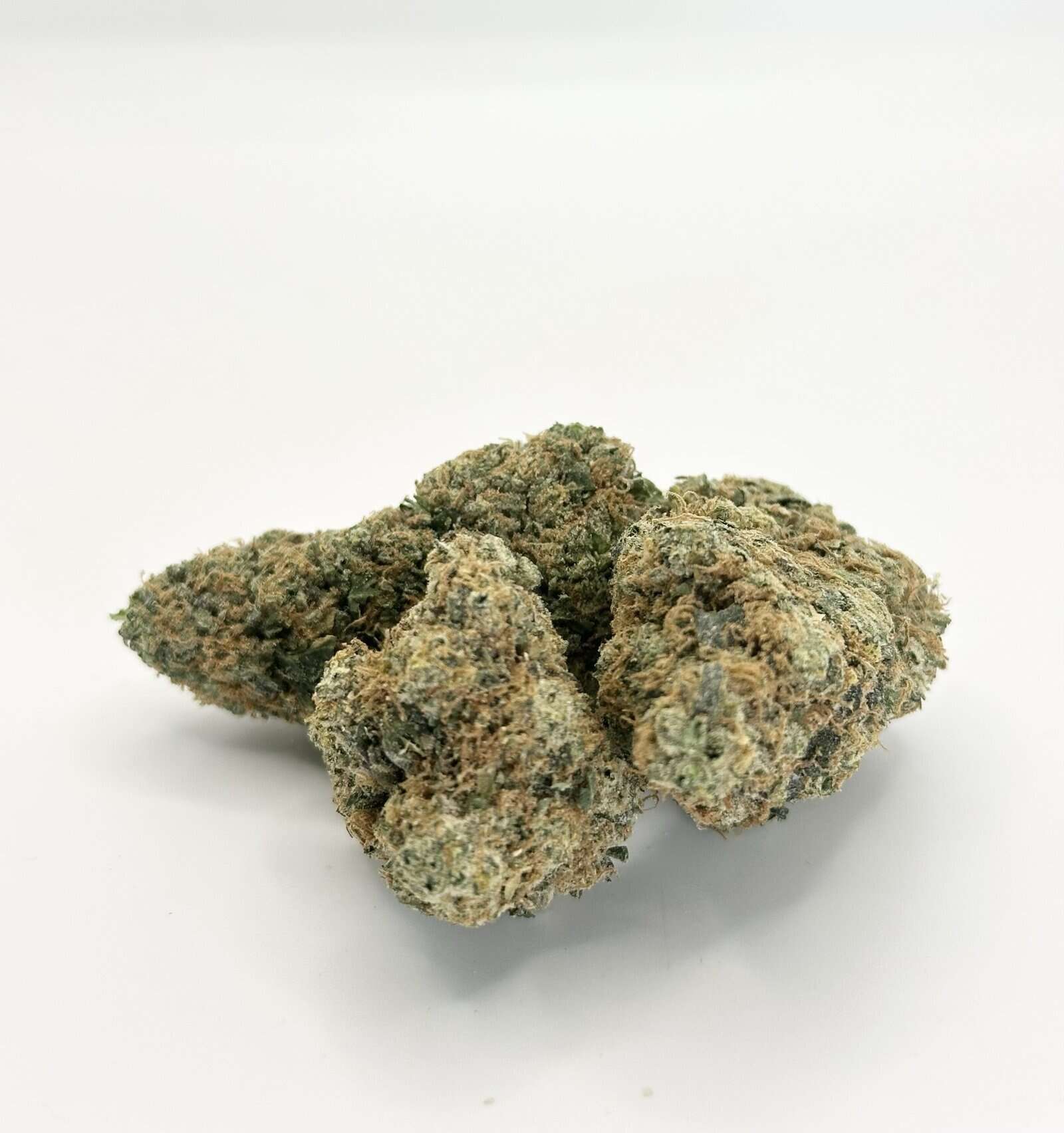 Cheddar Melt | Hybrid 4 Cheddar Melt | Hybrid - Image 4