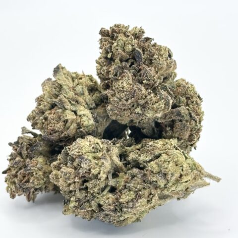 Tropical Z | Sativa