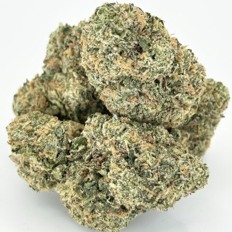 Zoap By Preferred Gardens | Hybrid