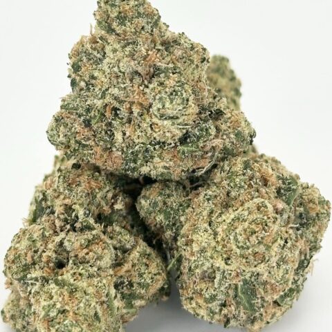 Lulu Lemons By Preferred Gardens | Sativa
