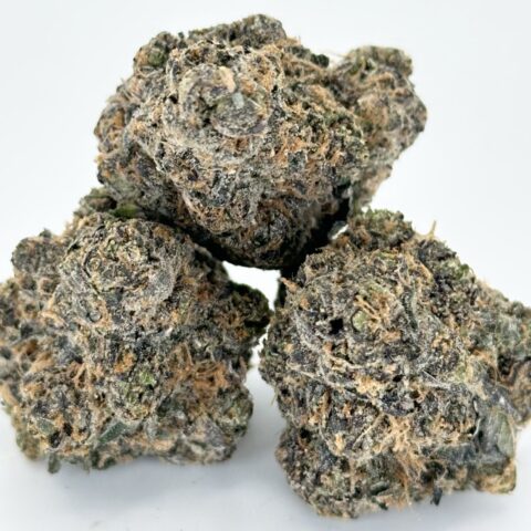 Blackberry Lemonade By Preferred Gardens | Hybrid