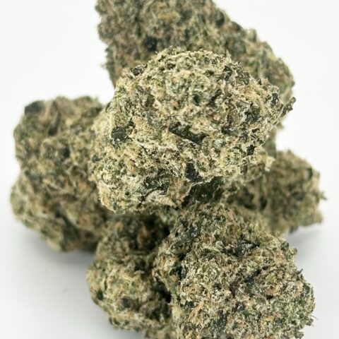Permanent Marker By Preferred Gardens | Indica