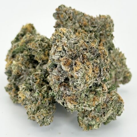 Guava Biscotti | Hybrid
