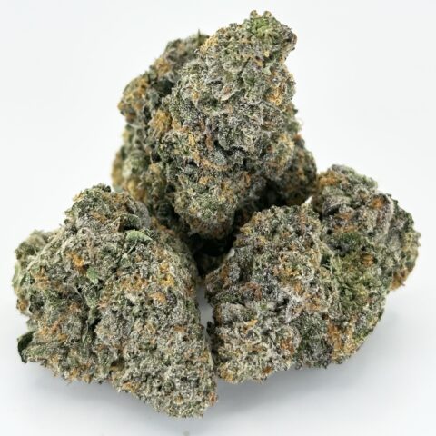 Nightshade by Connected | Indica