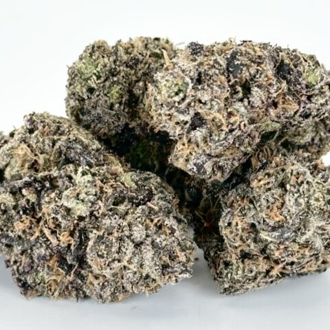 Tropical Cherry | Sativa
