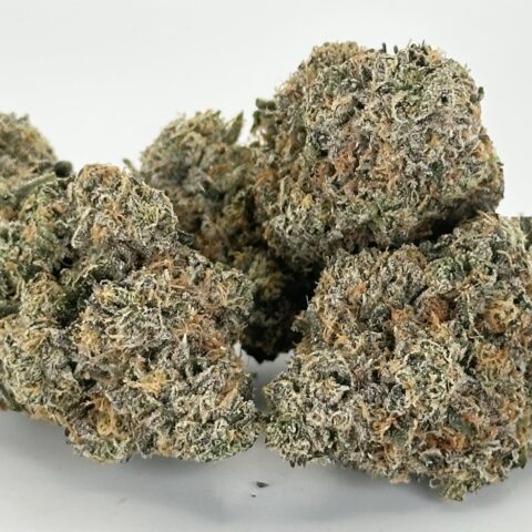 Frozen Lemons | Sativa